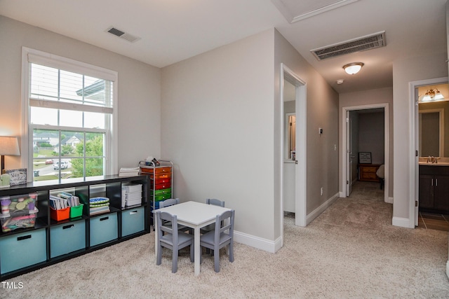 77 Redpine Ct, Clayton, NC 27520 - rec room with carpet, a sink, baseboards, and attic access
