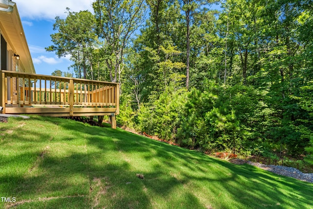 311 Rothbury Ct, Sanford, NC 27330 - photo 28