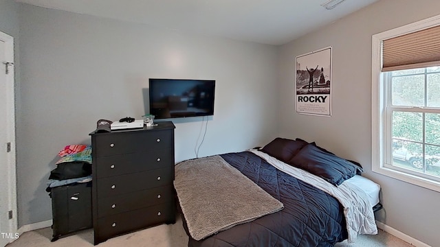 148 Langston Ridge Dr, Angier, NC 27501 - bedroom featuring multiple windows, light carpet, and baseboards