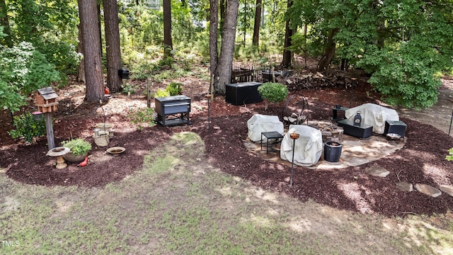 8132 Wheeler Woods Dr, Apex, NC 27539 - view of yard