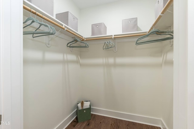 1318 N Alston Ave, Durham, NC 27701 - walk in closet with dark wood-style floors