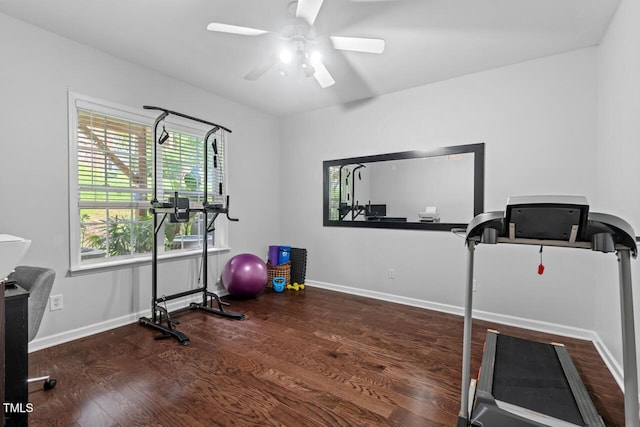 5505 Heather Garden Way, Raleigh, NC 27613 - exercise room featuring wood finished floors and a ceiling fan