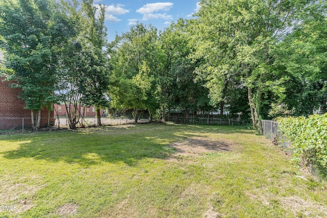 828 Cotton Pl, Raleigh, NC 27601 - view of yard