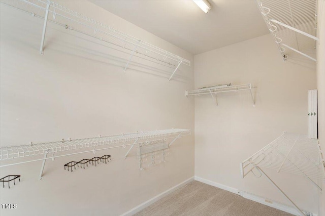 2614 Laurelcherry St, Raleigh, NC 27612 - spacious closet featuring carpet