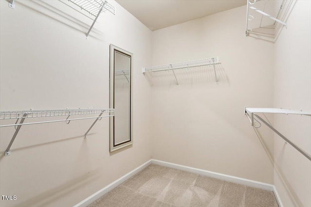 2614 Laurelcherry St, Raleigh, NC 27612 - walk in closet featuring light carpet