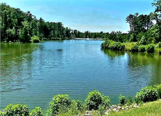 2018 Remington Oaks Cir, Cary, NC 27519 - water view with a forest