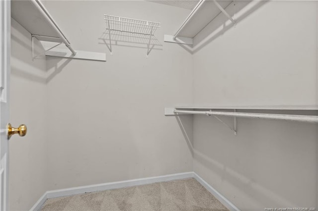1608 Piney Creek Pl, Fayetteville, NC 28304 - walk in closet featuring carpet