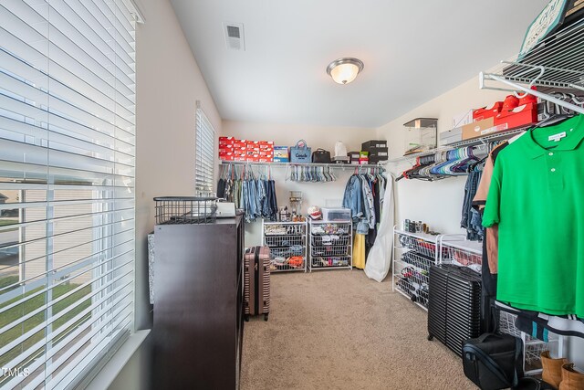 6729 Osprey Landing Dr, Wendell, NC 27591 - spacious closet with carpet floors