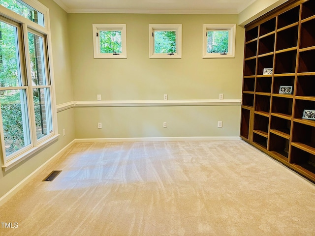 1512 Cumberland Rd, Chapel Hill, NC 27514 - carpeted spare room featuring crown molding, baseboards, and plenty of natural light