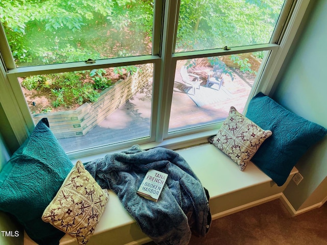1512 Cumberland Rd, Chapel Hill, NC 27514 - detailed view of carpet flooring