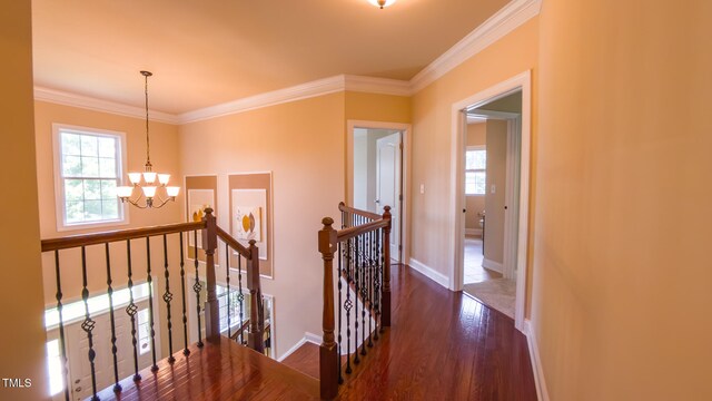 3408 Mount Pisgah Way, Cary, NC 27519 - photo 37