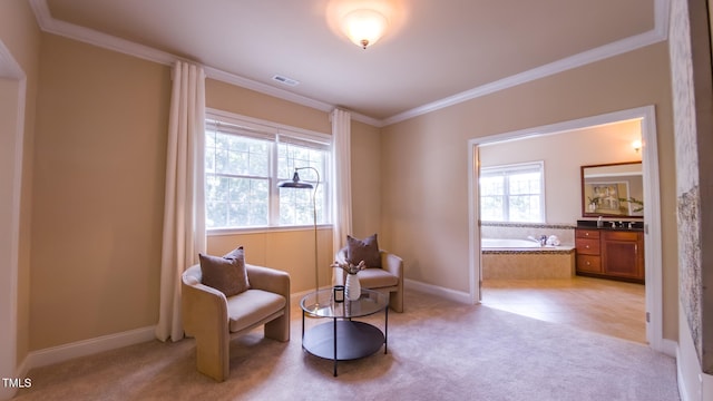 3408 Mount Pisgah Way, Cary, NC 27519 - photo 49