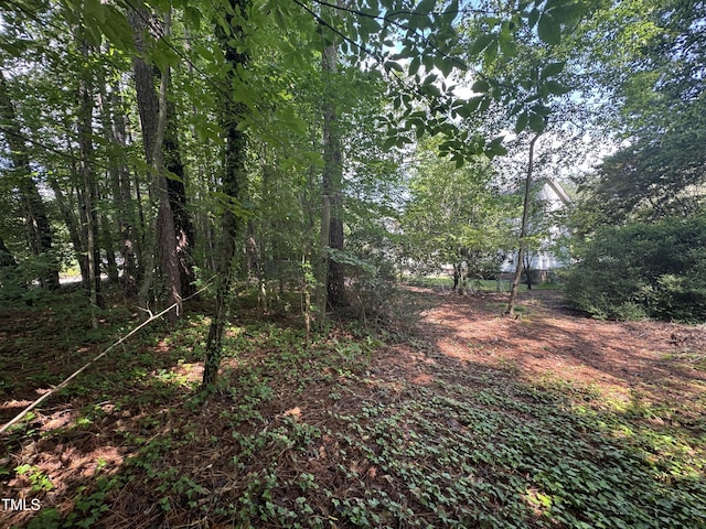 1305 Lennox Pl, Raleigh, NC 27612 - view of undeveloped land