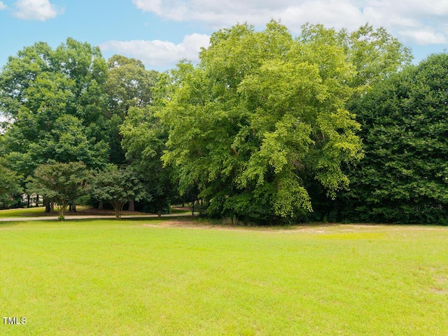 3901 Phlox Rd, Raleigh, NC 27616 - view of green lawn