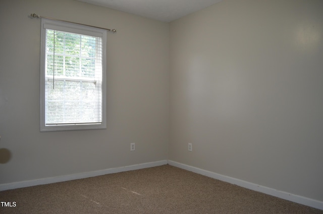 136 Wedgewood Ct, Sanford, NC 27332 - photo 24