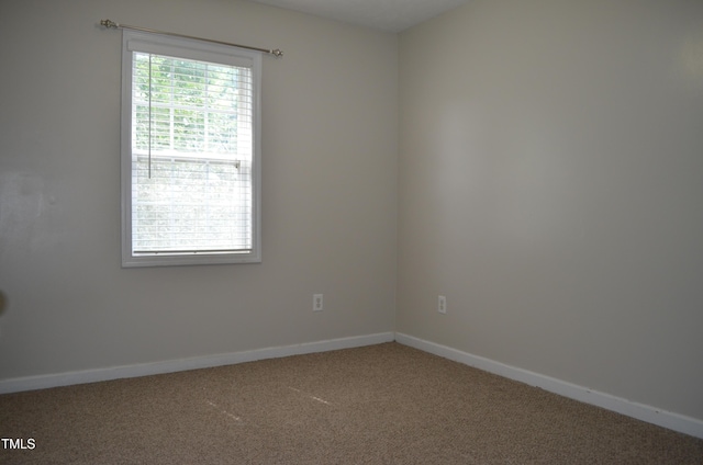 136 Wedgewood Ct, Sanford, NC 27332 - photo 25