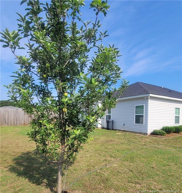 90 Tyson Carriage Ln, Autryville, NC 28318 - view of yard