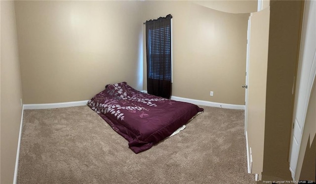 90 Tyson Carriage Ln, Autryville, NC 28318 - bedroom with carpet flooring and baseboards