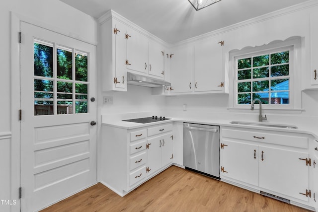 3221 Ward Rd, Raleigh, NC 27604 - photo 21
