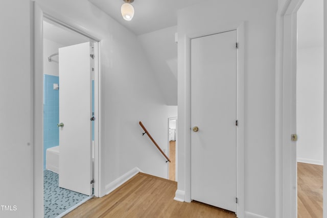 3221 Ward Rd, Raleigh, NC 27604 - photo 35