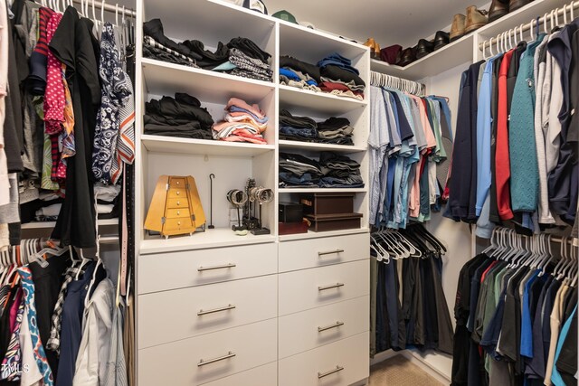 11217 Maplecroft Ct, Raleigh, NC 27617 - view of walk in closet