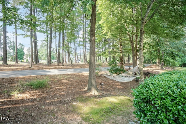 11217 Maplecroft Ct, Raleigh, NC 27617 - view of yard