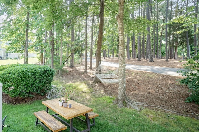 11217 Maplecroft Ct, Raleigh, NC 27617 - view of yard