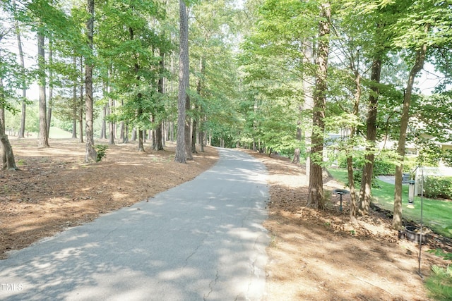 11217 Maplecroft Ct, Raleigh, NC 27617 - view of street