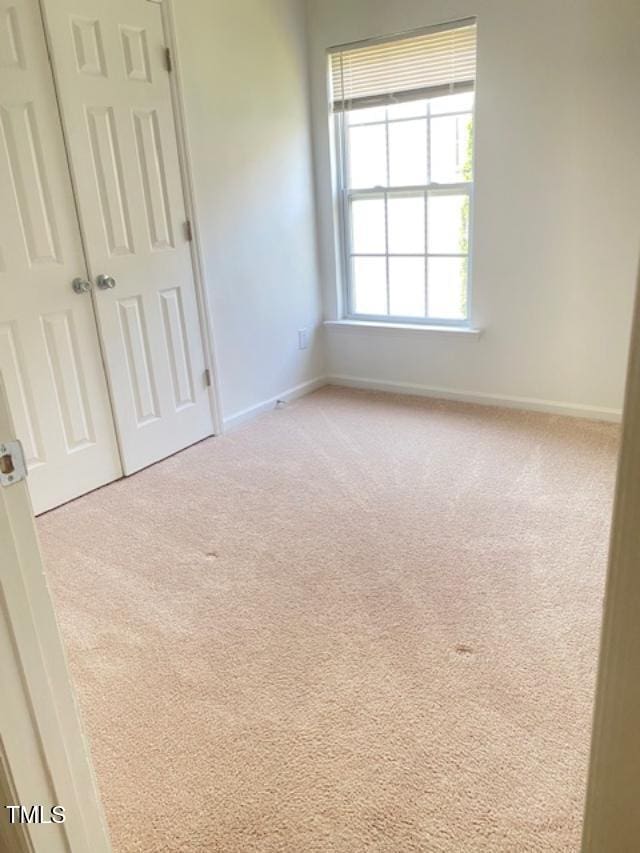 3207 Geary Trl, Raleigh, NC 27610 - photo 14