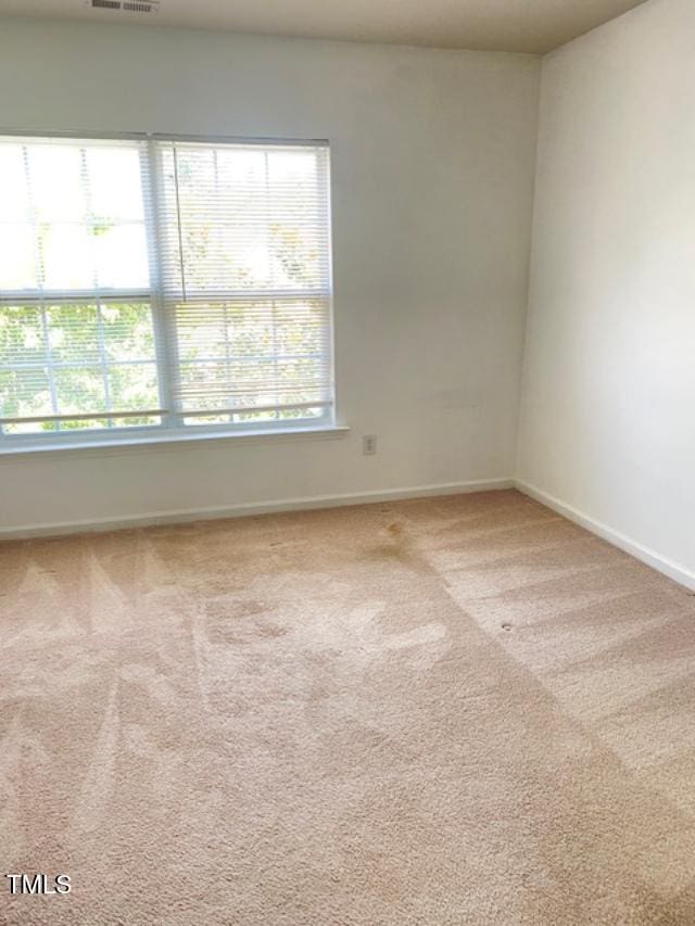 3207 Geary Trl, Raleigh, NC 27610 - photo 16