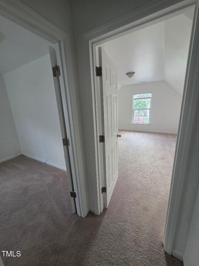 3207 Geary Trl, Raleigh, NC 27610 - photo 29