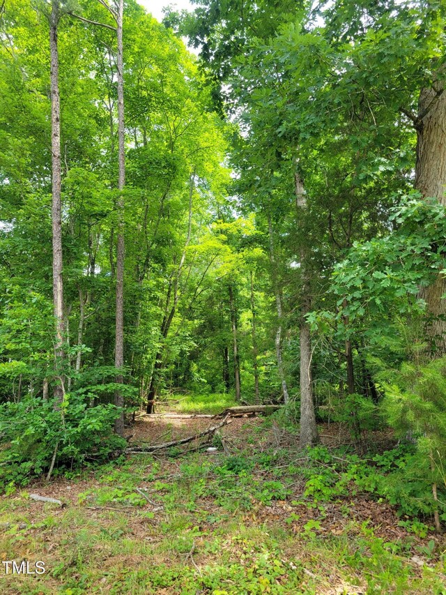 0 Major Hill Rd, Snow Camp, NC 27349 - photo 3