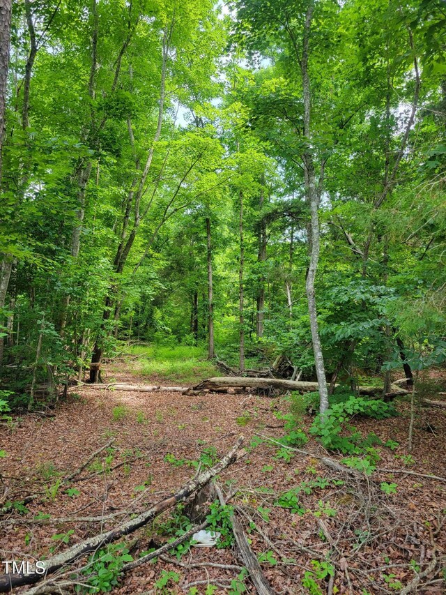 0 Major Hill Rd, Snow Camp, NC 27349 - photo 4