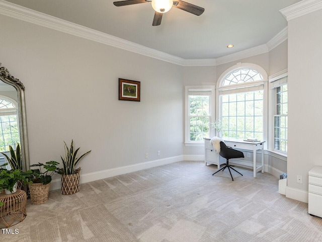 5768 Cavanaugh Dr, Raleigh, NC 27614 - office featuring light colored carpet, ceiling fan, plenty of natural light, and ornamental molding