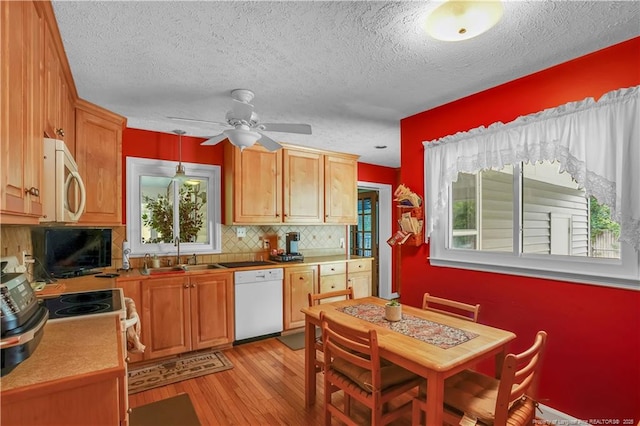 465 Sherwood Rd, Lumberton, NC 28358 - photo 7