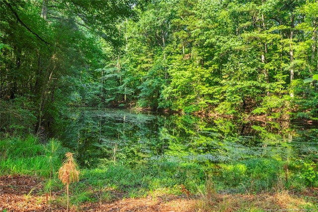 1718 Carthage St, Sanford, NC 27330 - view of tree filled area