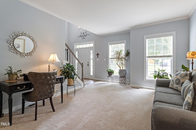 2422 Castleburg Dr, Apex, NC 27523 - living area with carpet, crown molding, and stairs