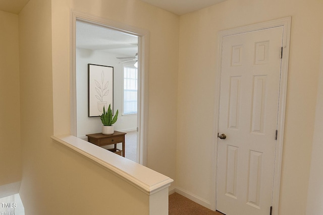 5100 Mass Rock Dr, Raleigh, NC 27610 - hallway featuring carpet flooring and baseboards