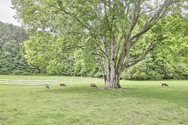 3679 Oak Lawn Farm Rd, Oxford, NC 27565 - photo 66