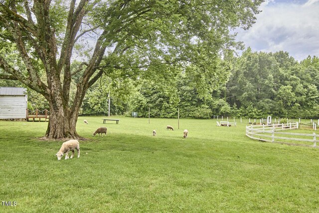 3679 Oak Lawn Farm Rd, Oxford, NC 27565 - photo 53
