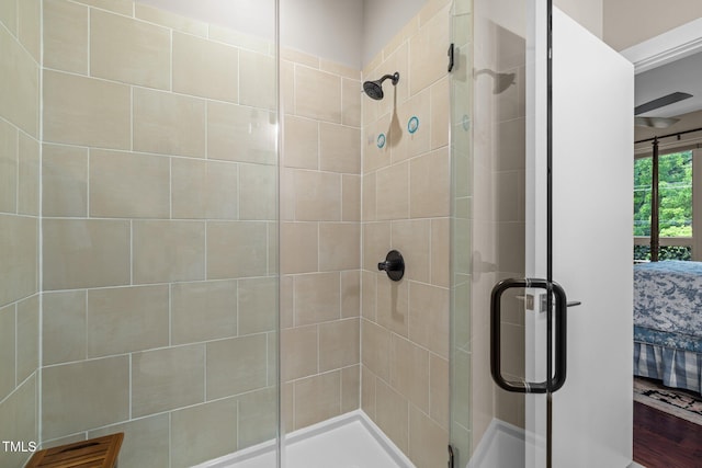515 N Churton St Unit 203, Hillsborough, NC 27278 - bathroom with a shower stall, ensuite bathroom, and wood finished floors
