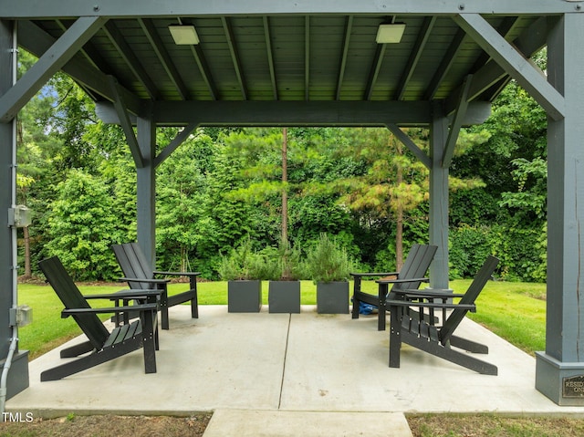 515 N Churton St Unit 203, Hillsborough, NC 27278 - view of patio