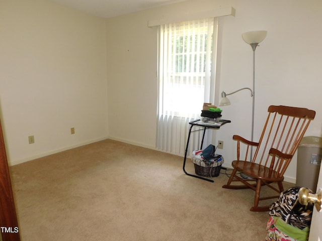 5009 Tower Rd Unit B, Greensboro, NC 27410 - sitting room featuring carpet flooring