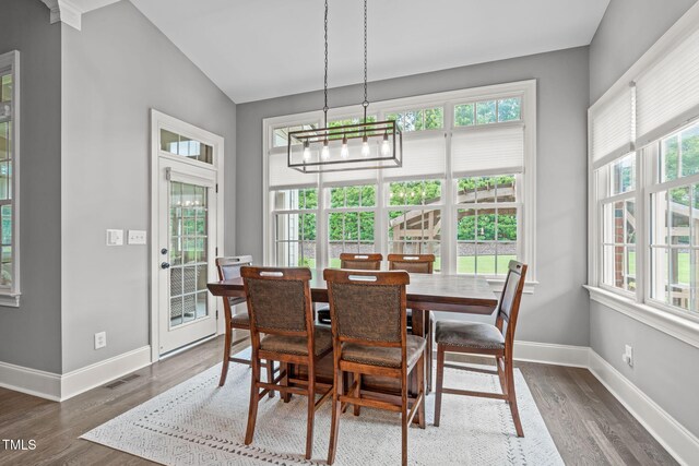 204 Franconia Way, Apex, NC 27502 - dining space with plenty of natural light, wood finished floors, lofted ceiling, and a chandelier