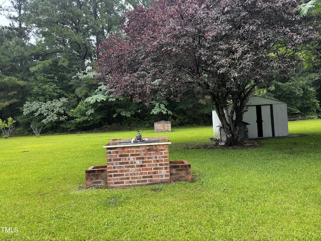 11477 NC-87, Elizabethtown, NC 28337 - view of grassy yard featuring a storage unit