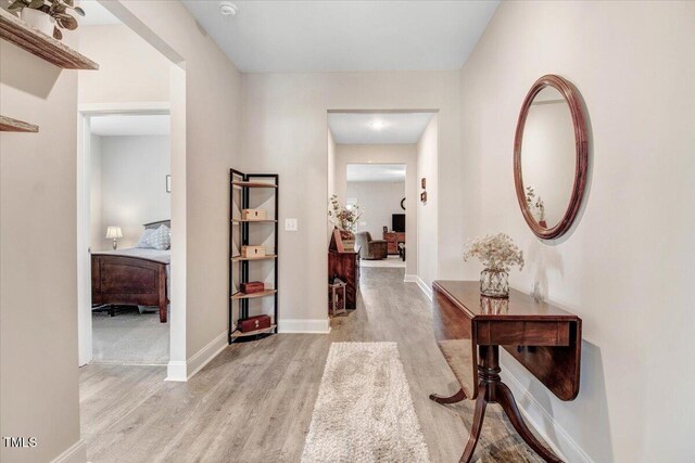 607 Laurel Lake Rd, Salemburg, NC 28385 - hall with light wood-type flooring and baseboards