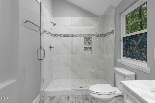 123 Becket Bnd, Pittsboro, NC 27312 - bathroom with toilet, a stall shower, lofted ceiling, and vanity