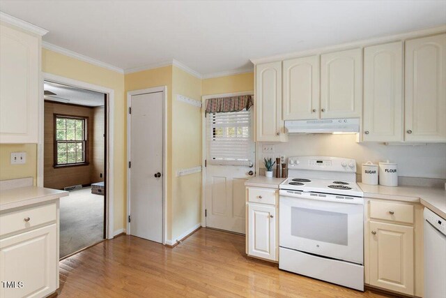 1317 Swallow Dr, Raleigh, NC 27606 - photo 9