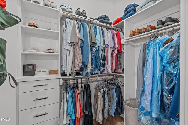415 1st St, Apex, NC 27502 - walk in closet with wood finished floors