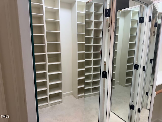 6553 Vintage Ridge Ln, Fuquay Varina, NC 27526 - walk in closet with carpet flooring